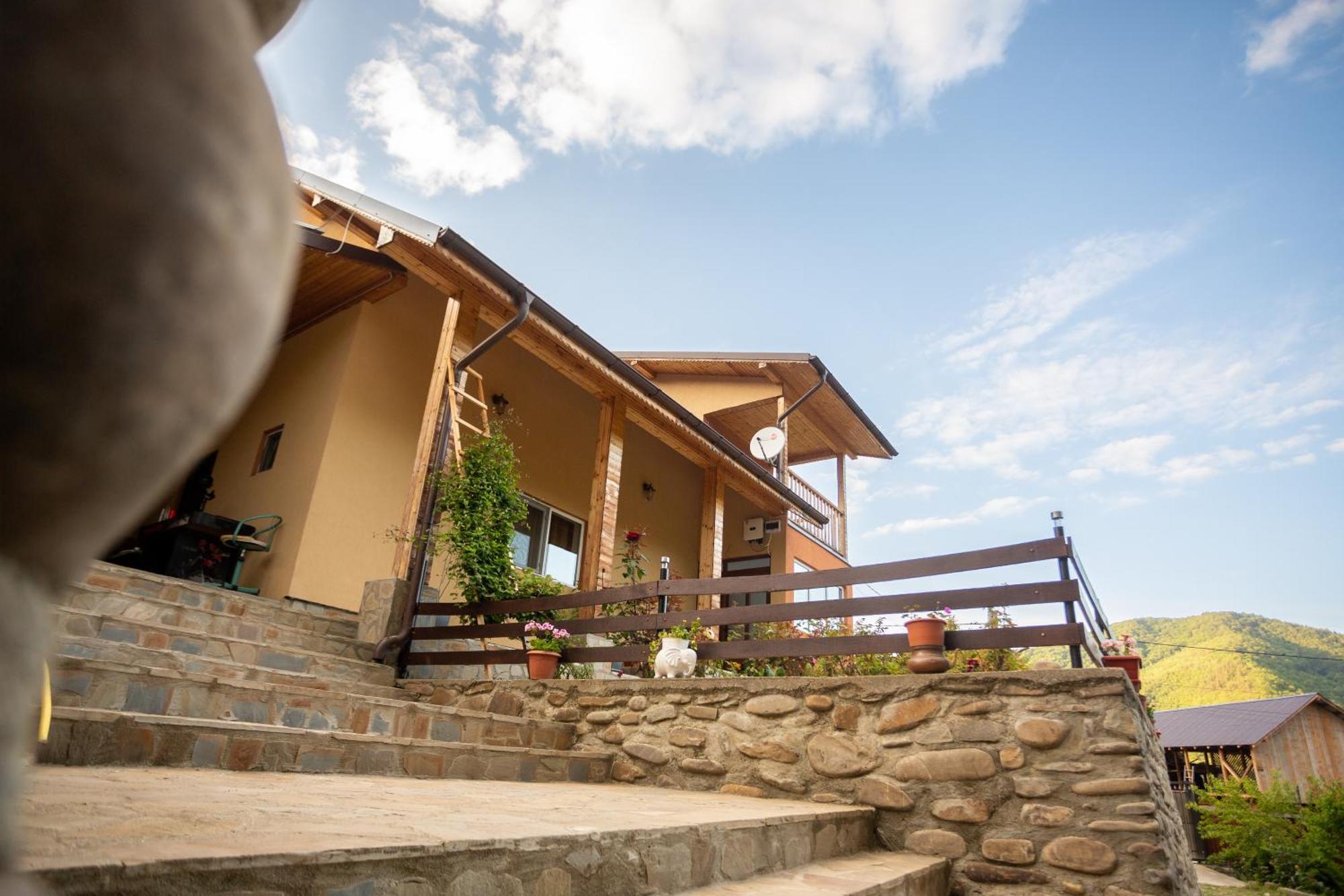 Casa Rumelia Paltineni Exterior foto