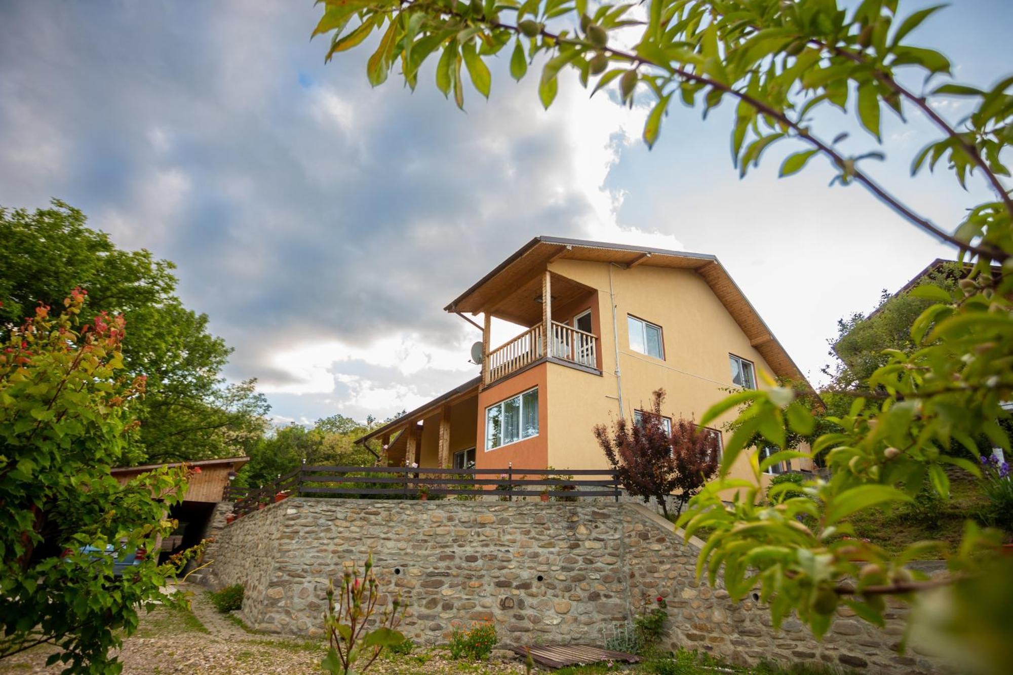 Casa Rumelia Paltineni Exterior foto