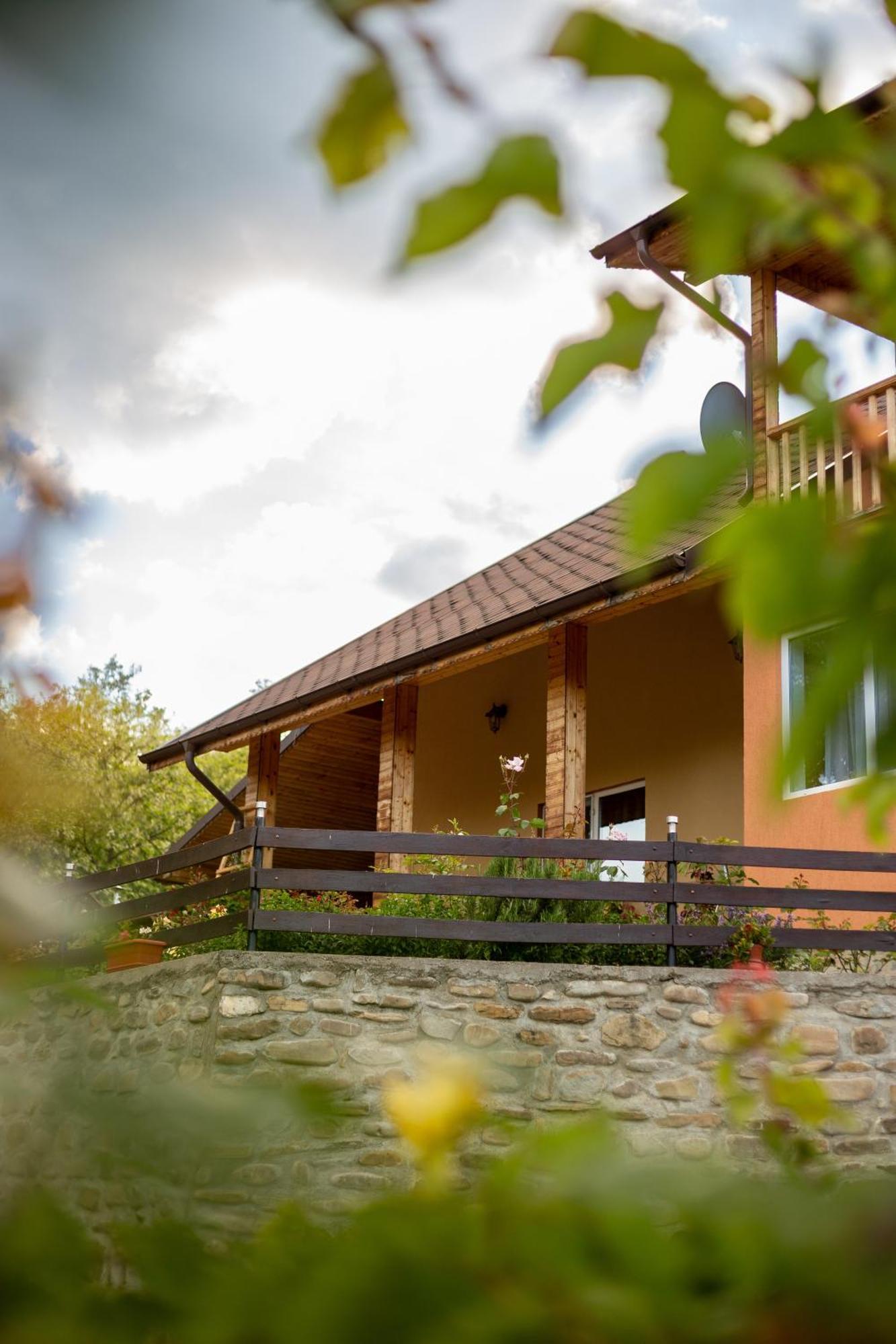 Casa Rumelia Paltineni Exterior foto