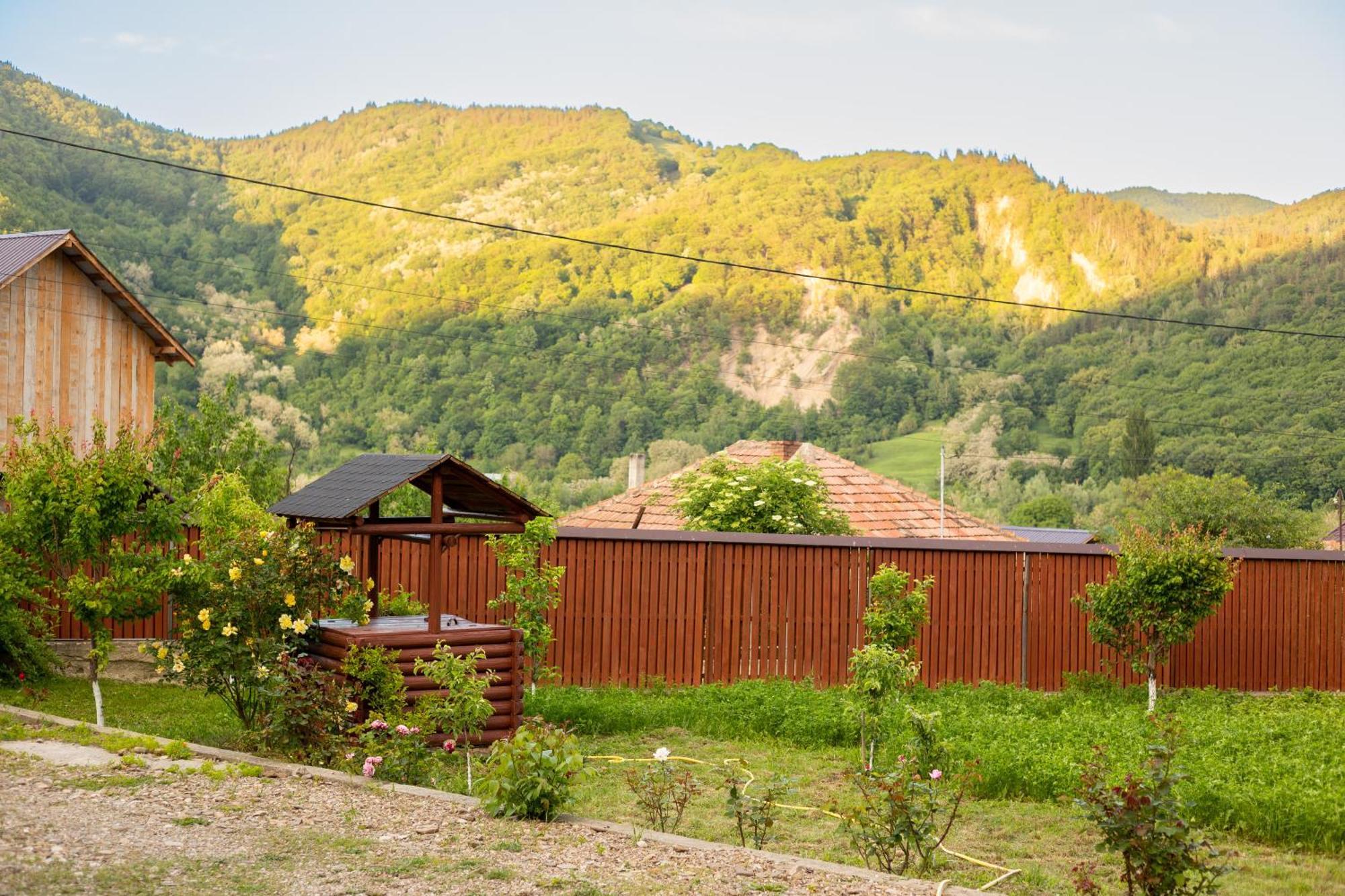 Casa Rumelia Paltineni Exterior foto